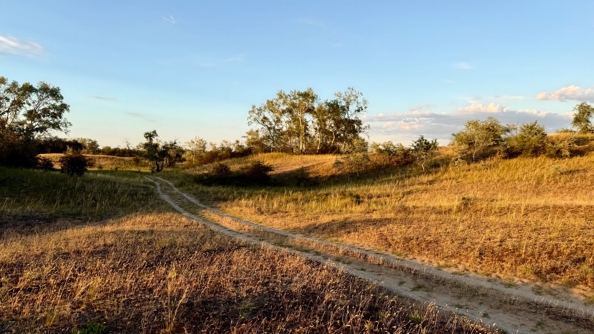 Wandelen in de natuur